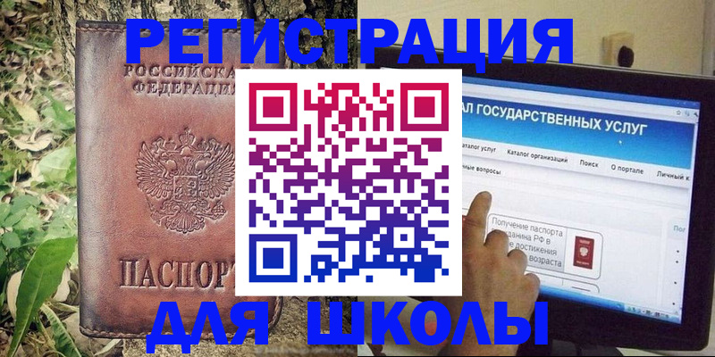 прописка для школы в Дальнегорске